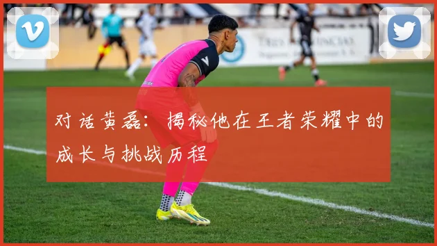 对话黄磊：揭秘他在王者荣耀中的成长与挑战历程