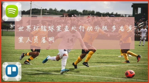 世界杯赌球案查处行动升级 多名涉案人员落网