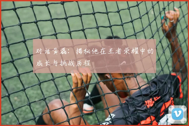 对话黄磊：揭秘他在王者荣耀中的成长与挑战历程