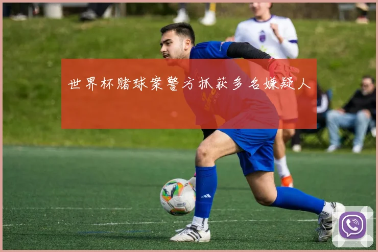 世界杯赌球案警方抓获多名嫌疑人