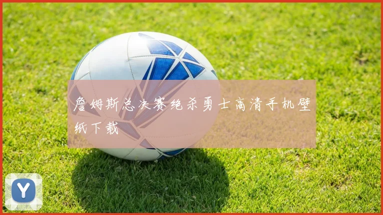 詹姆斯总决赛绝杀勇士高清手机壁纸下载