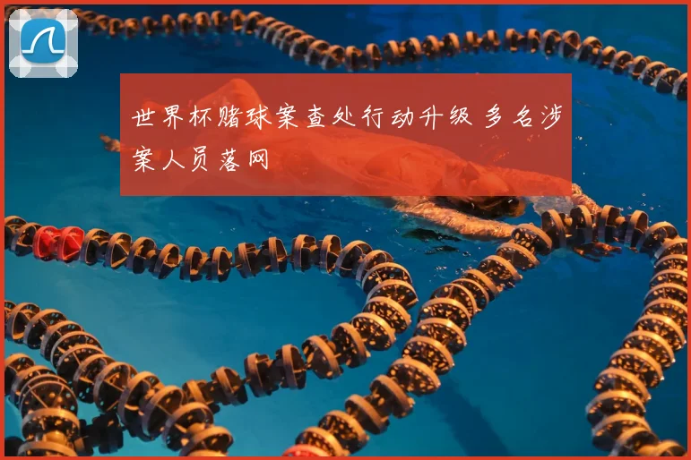 世界杯赌球案查处行动升级 多名涉案人员落网